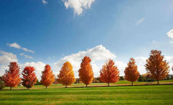 Fall foliage on the Centre Hills Golf course near Village at Canterbury - by S&A Homes in State College