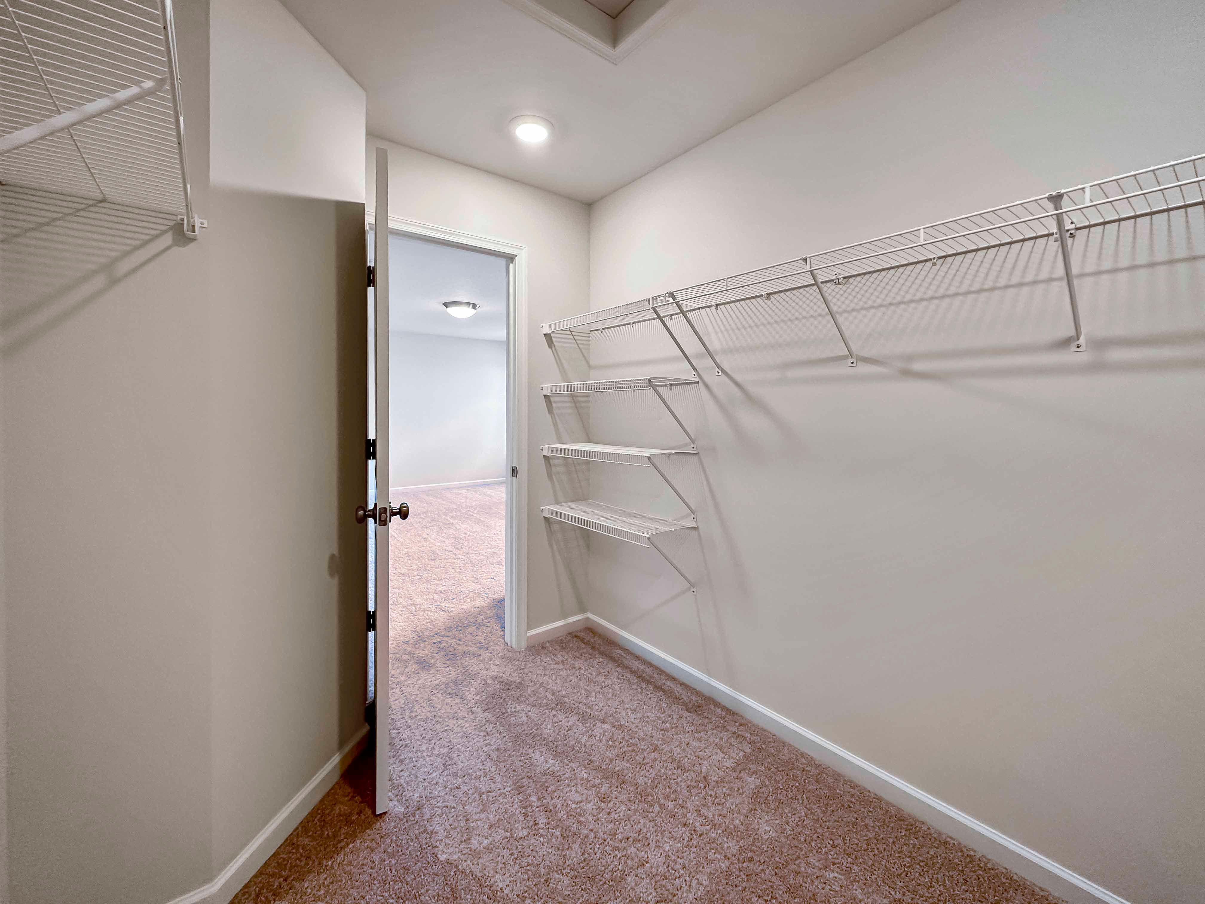 Closet with wire shelving