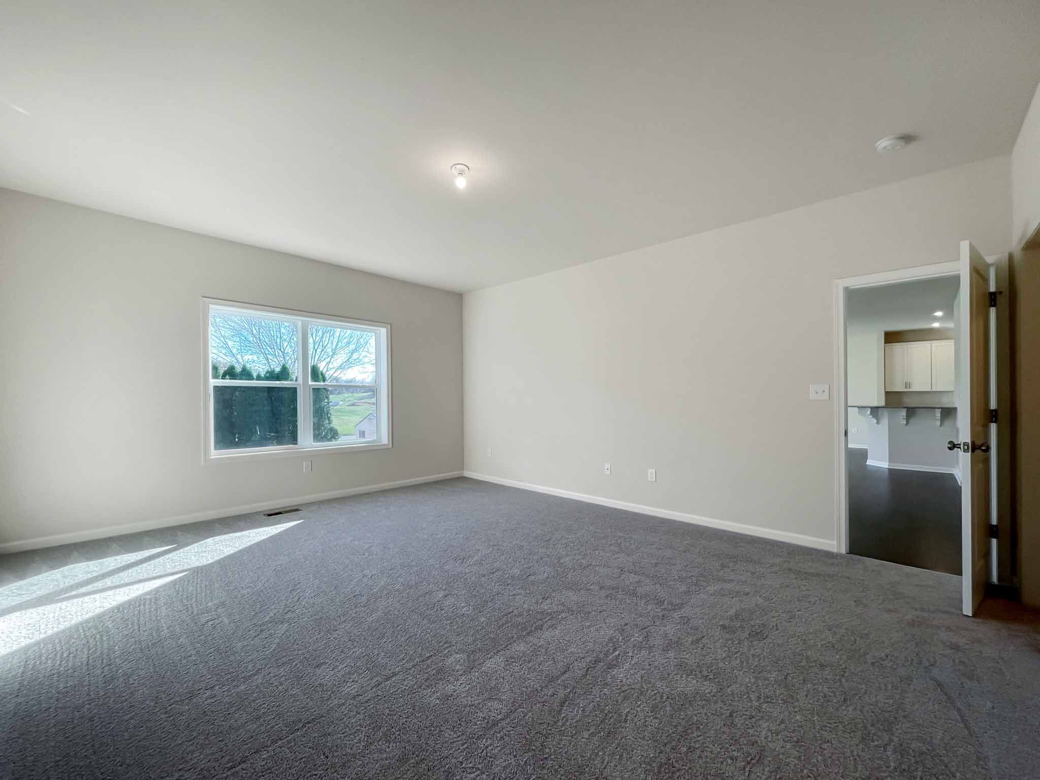 Bedroom with double windows on rear wall and carpet flooring