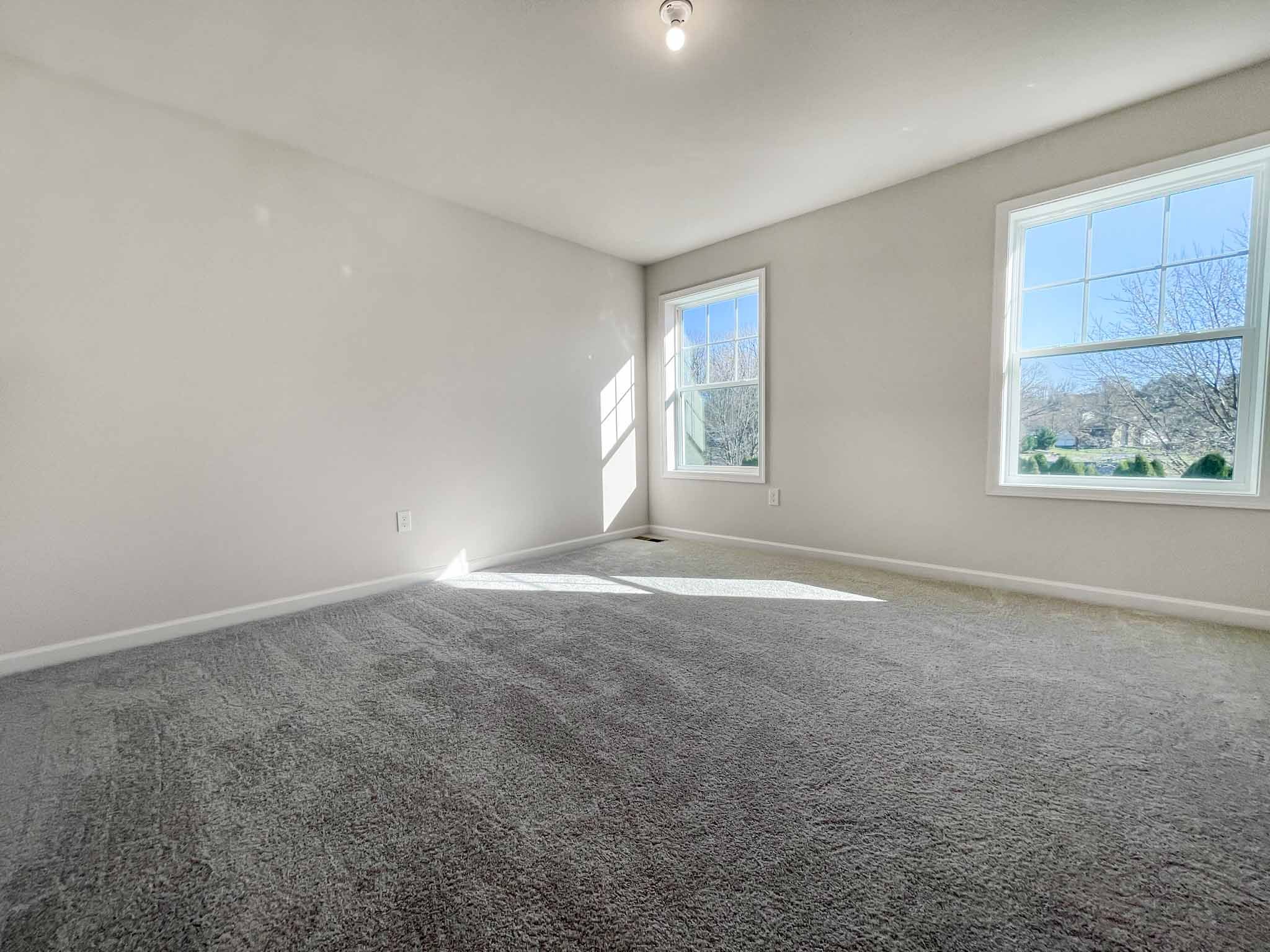 Bedroom with carpet flooring and windows on rear wall