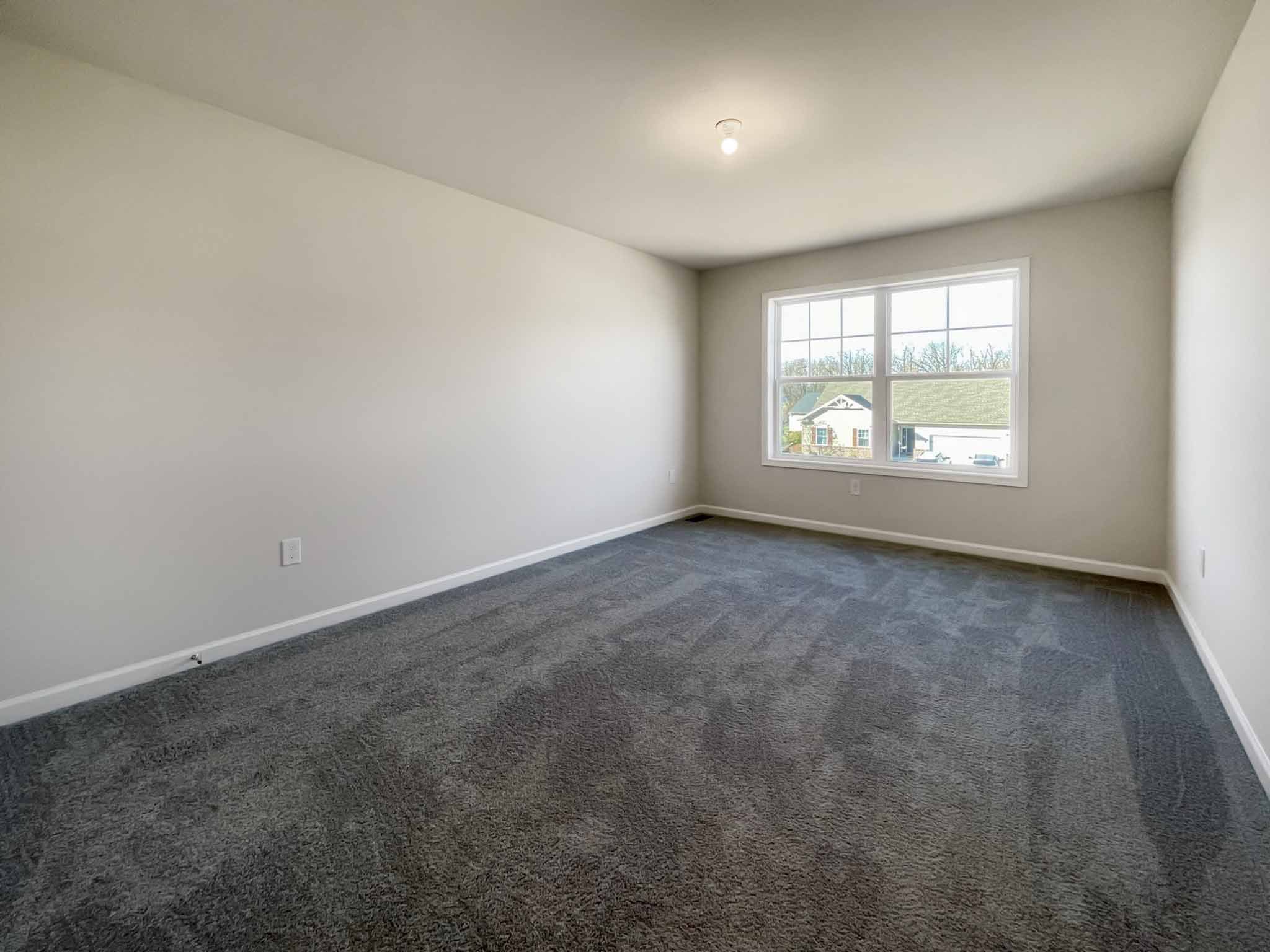 Bedroom with double windows on rear wall and carpet flooring