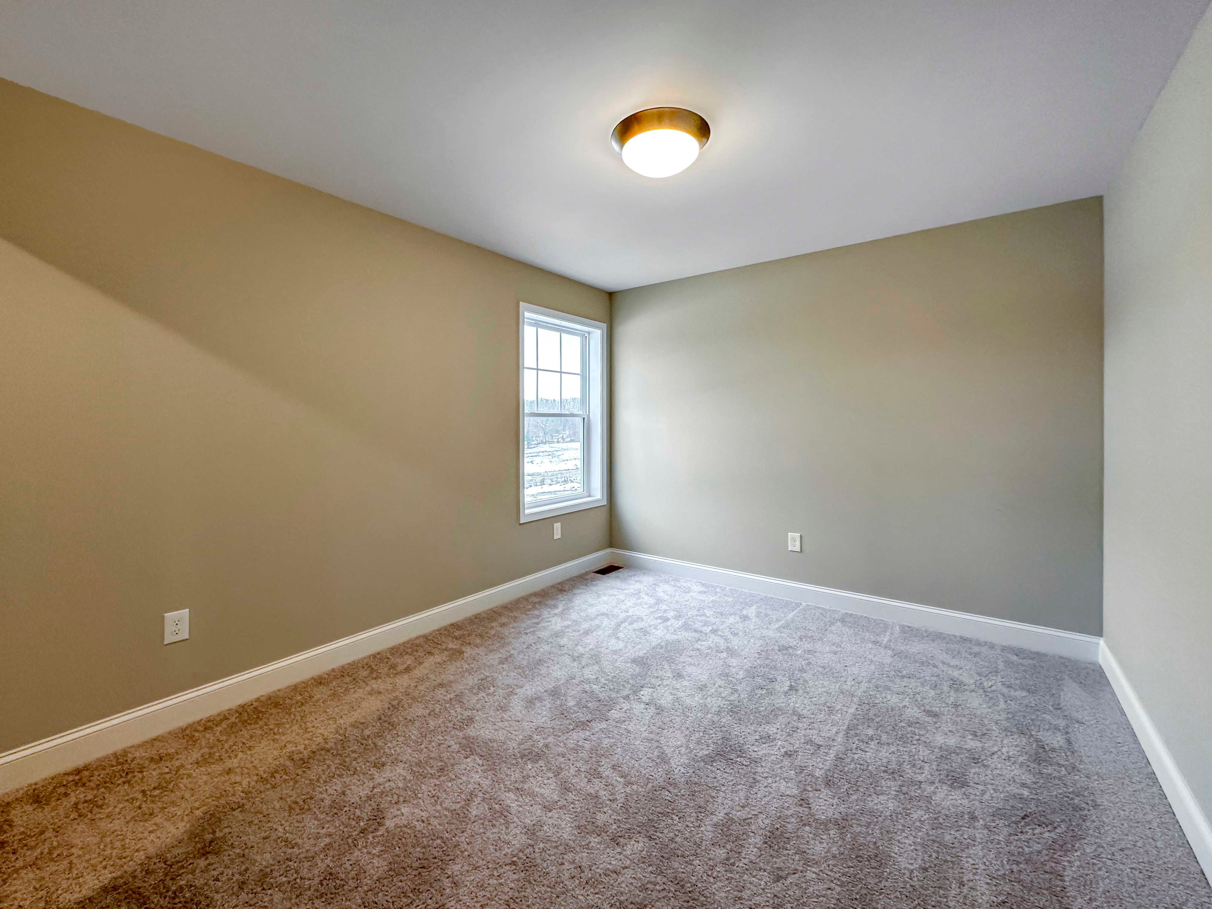 Bedroom 3 - Single-hung window and carpet flooring