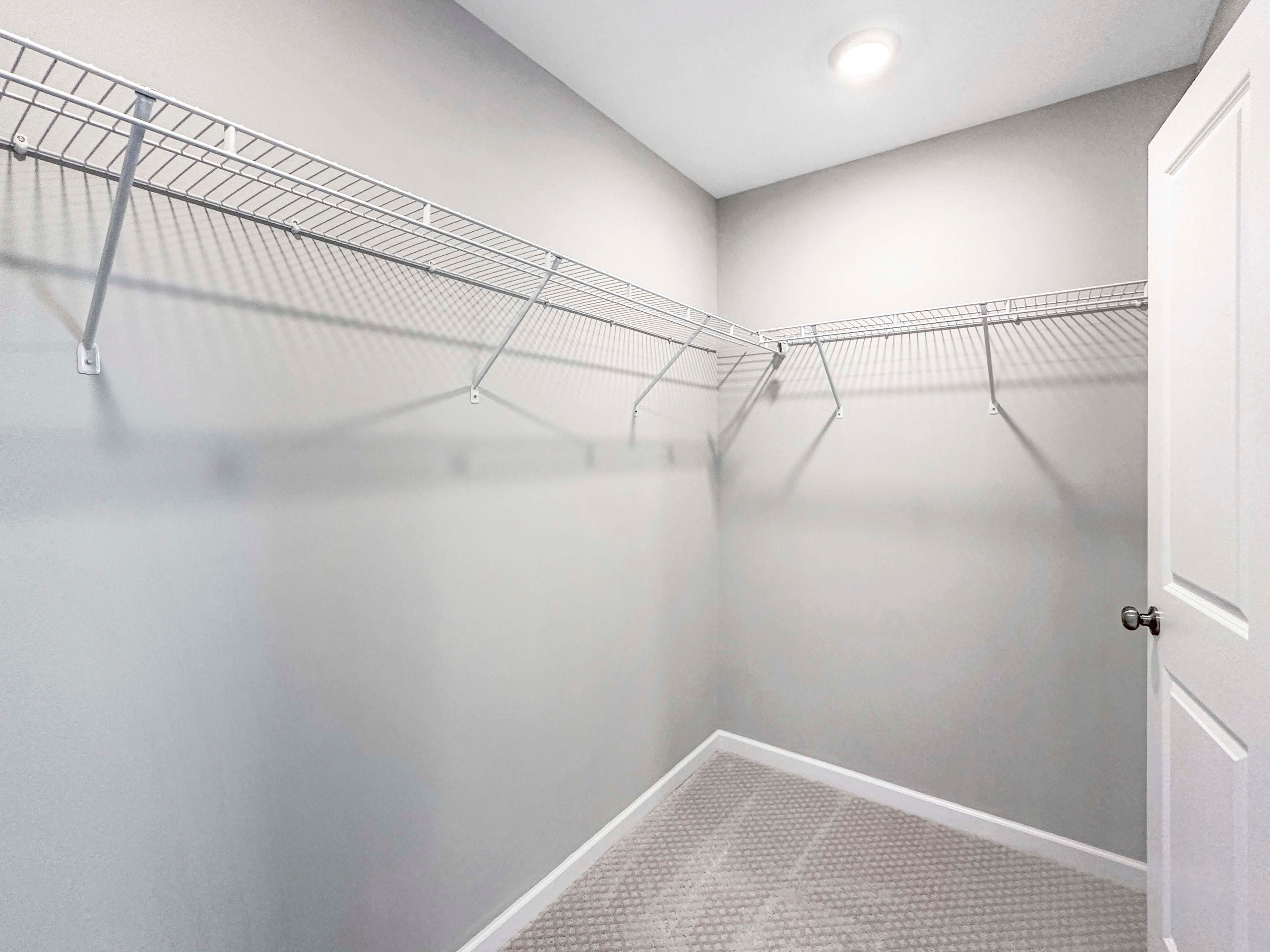 Walk-in closet with ample built-in wire shelving, neutral walls, and carpeted floors.