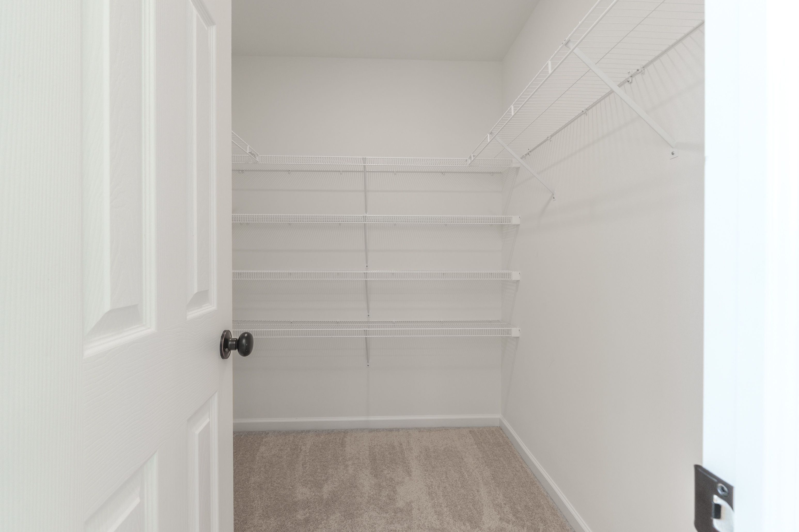Walk-in owners closet with wire shelving and ample space for storage.