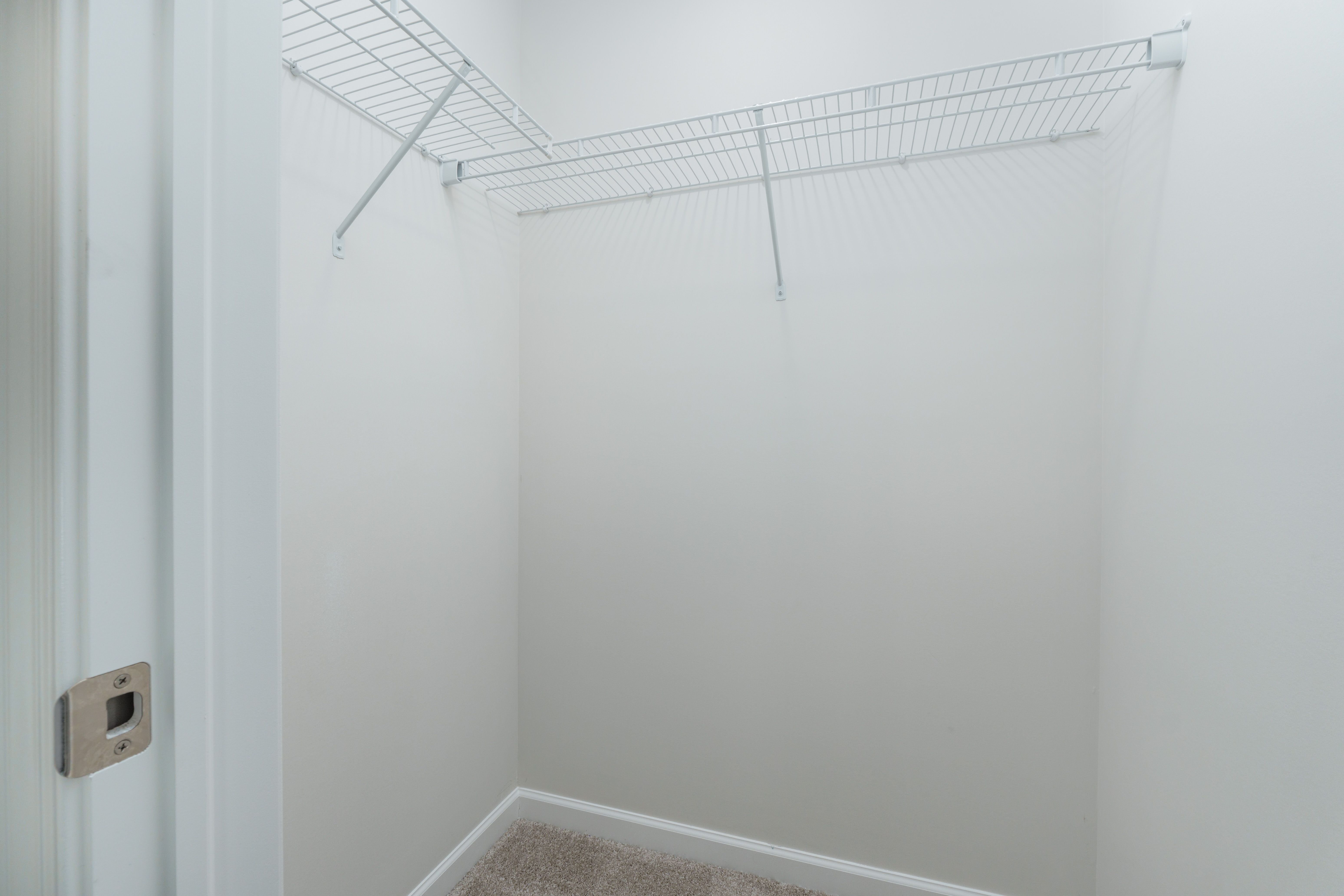 Walk-in closet with beige carpet and white wire shelving on two walls for storage and organization.