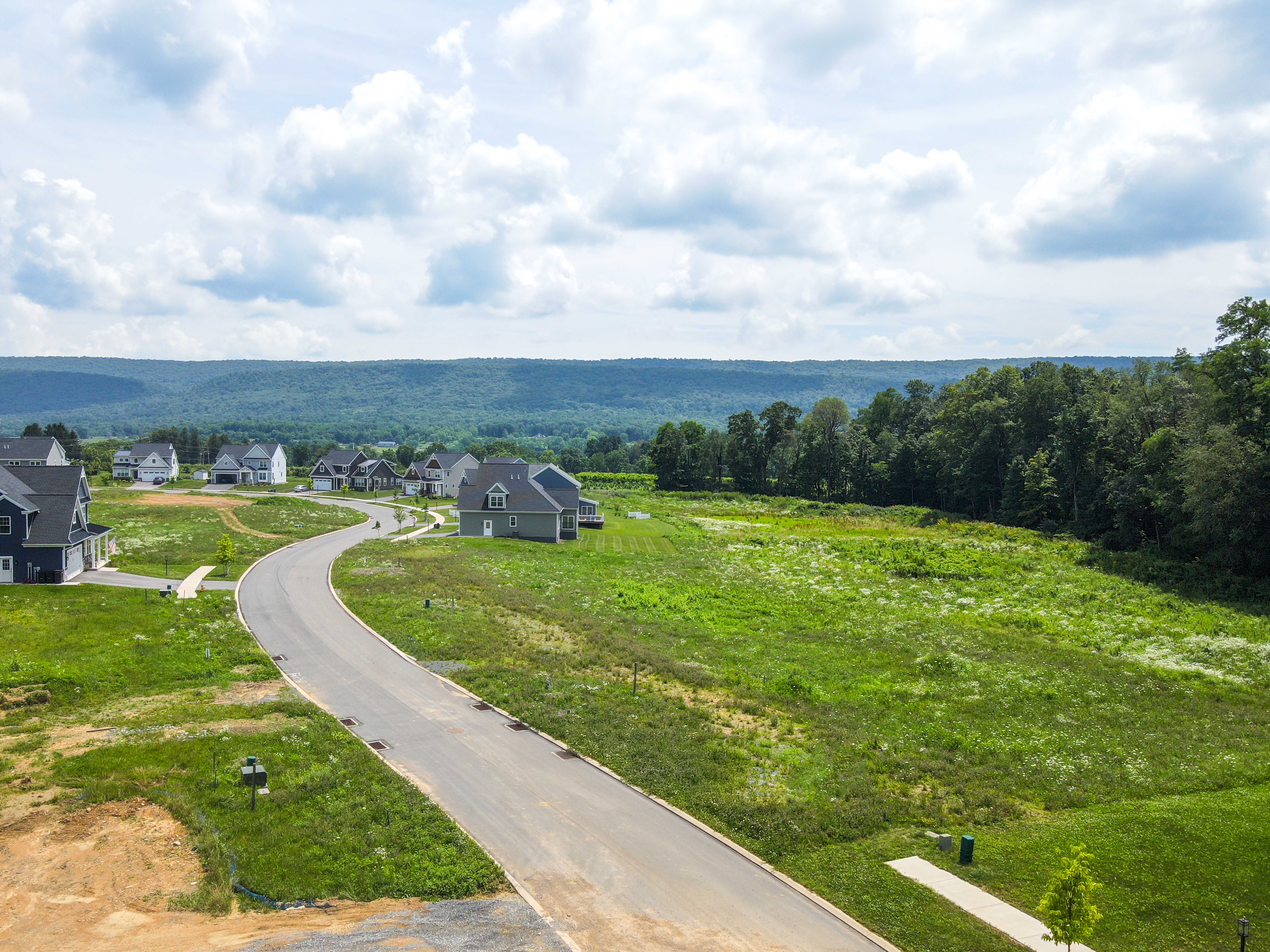 Partially developed neighborhood with open grassy lots and homes backed by woods