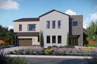 Cedar - SHAWOOD at Folsom: Folsom, California - SHAWOOD