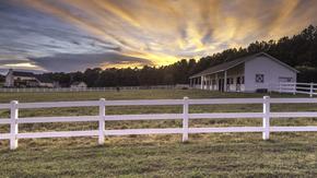 Saddlehorn by Saddlehorn in Greenville-Spartanburg South Carolina