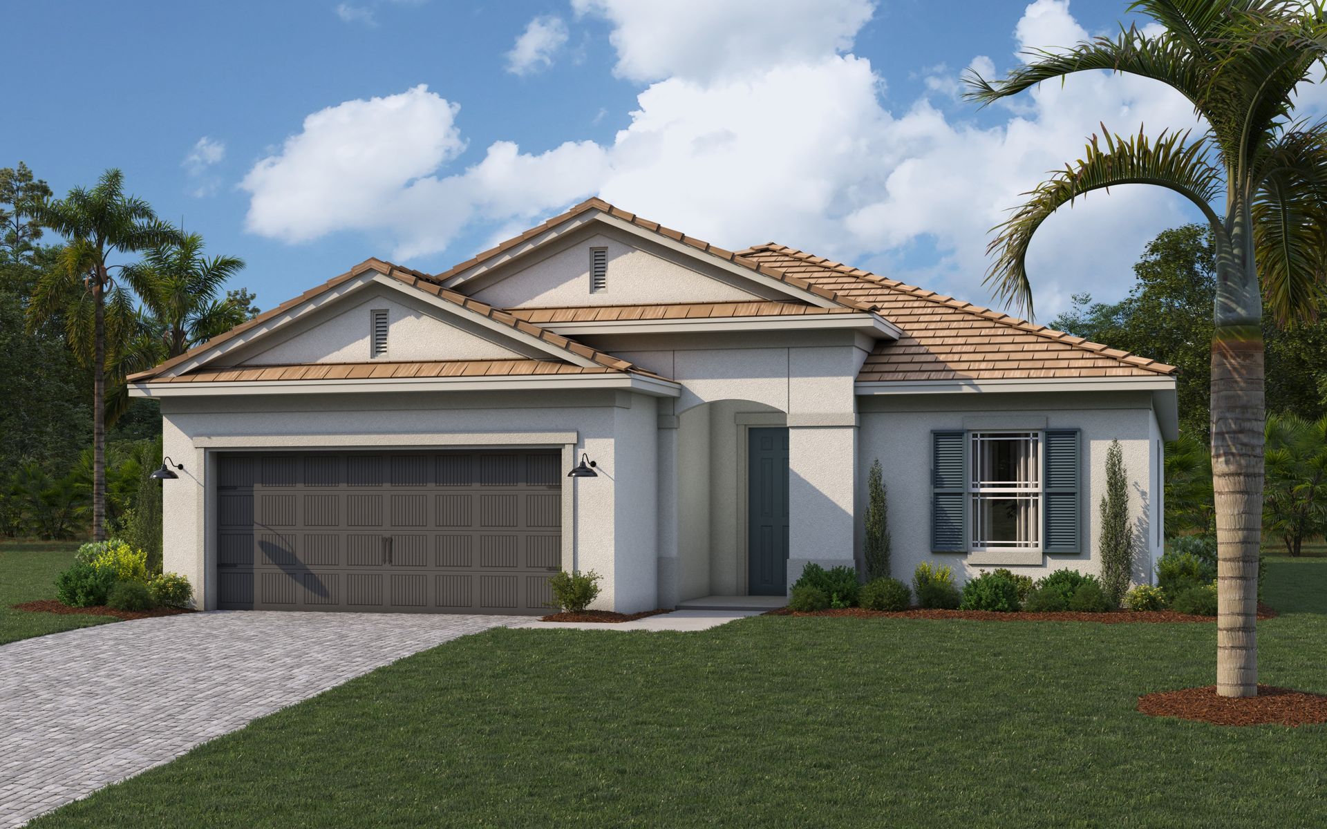  Brighton 3.0 - Longmeadow
