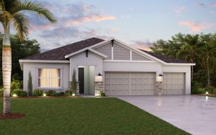 Amelia - Fieldstone by Cardel Homes: Plant City, Florida - Cardel Homes