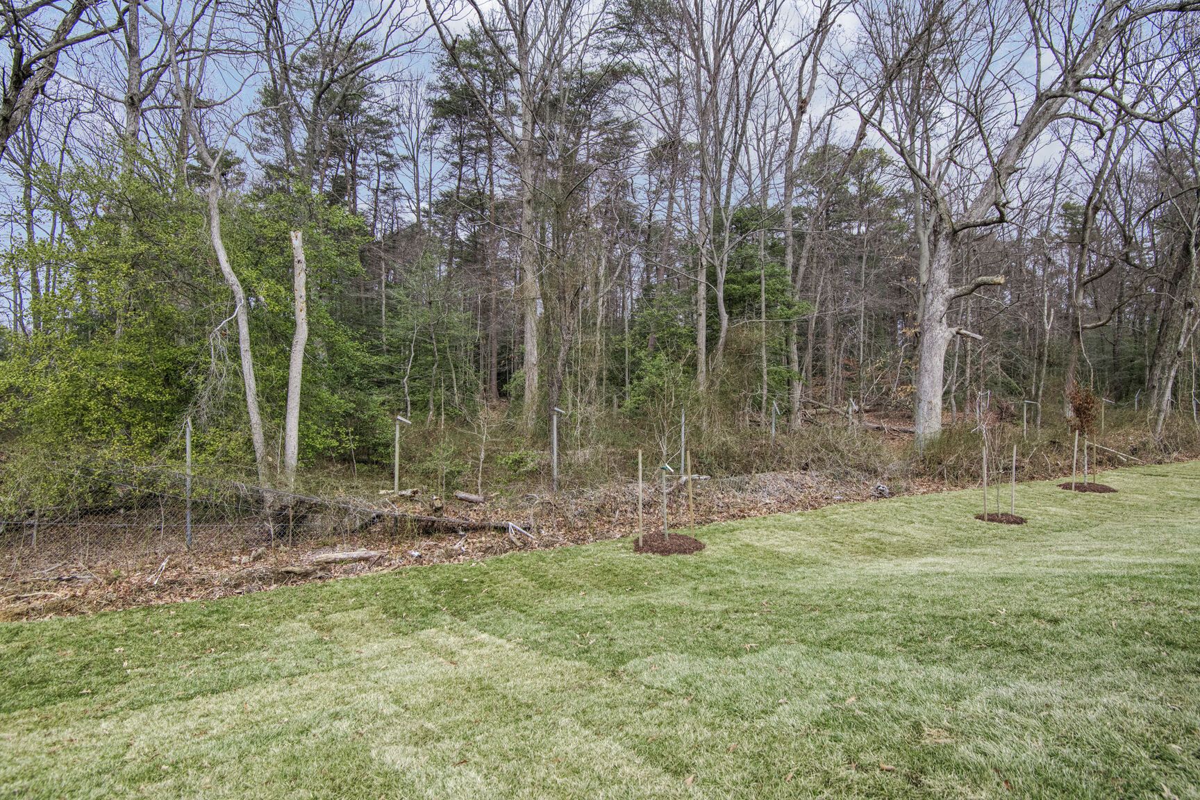 The Potomac floor plan