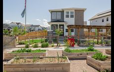 Arras Park: Thornton, Colorado - McStain Neighborhoods