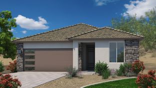Lot 179 - Daisy Plan - Arroyo Grande: Casa Grande, Arizona - Scott Communities