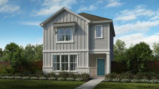 Daisy - Mayfair: New Braunfels, Texas - Scott Felder Homes Austin