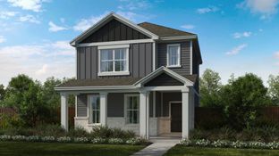 Daisy - Mayfair: New Braunfels, Texas - Scott Felder Homes Austin