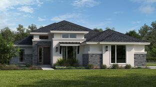 Blanco - Leander Estates: Leander, Texas - Scott Felder Homes Austin