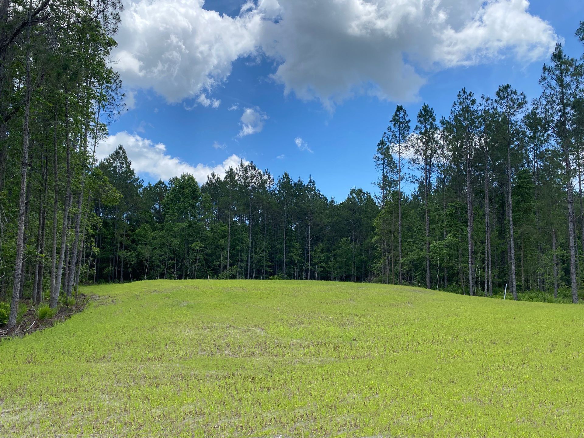 Southwind Plantation has 1-2+ acre wooded homesites