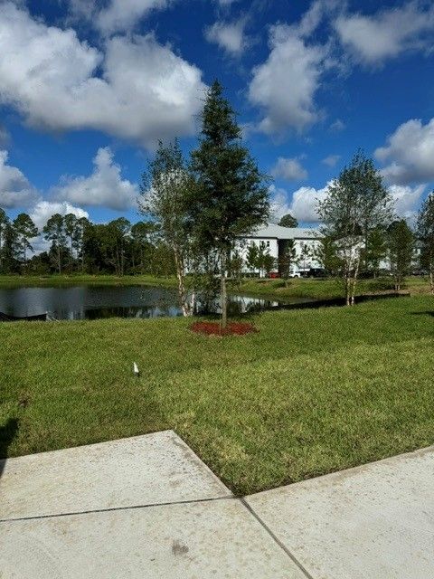 Ashley Laurel Oaks lot 43