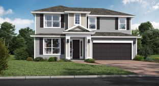 Brisbane II - Weston Woods: Jacksonville, Florida - SEDA New Homes