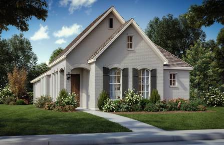 Maple - S3310 by Shaddock Homes in Dallas TX