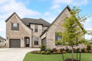 3206 Bexar Street - The Homestead - 72': Rockwall, Texas - Shaddock Homes