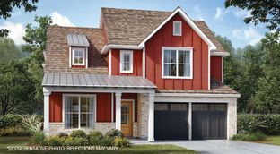 Carmine - SH 4461 - Aster Park: McKinney, Texas - Shaddock Homes