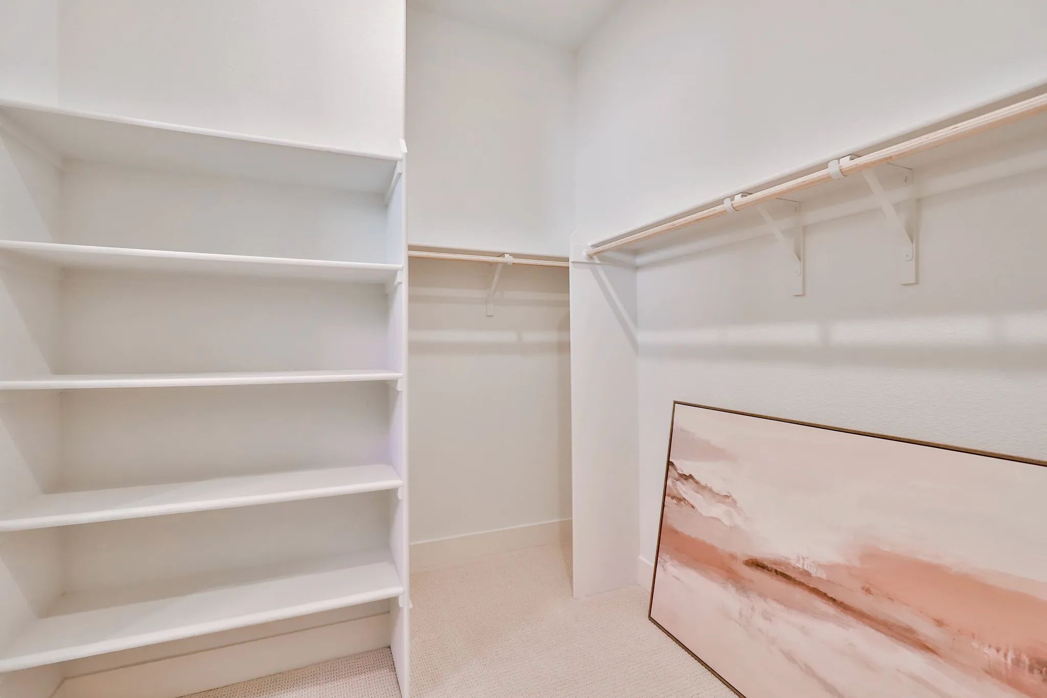 Primary Closet