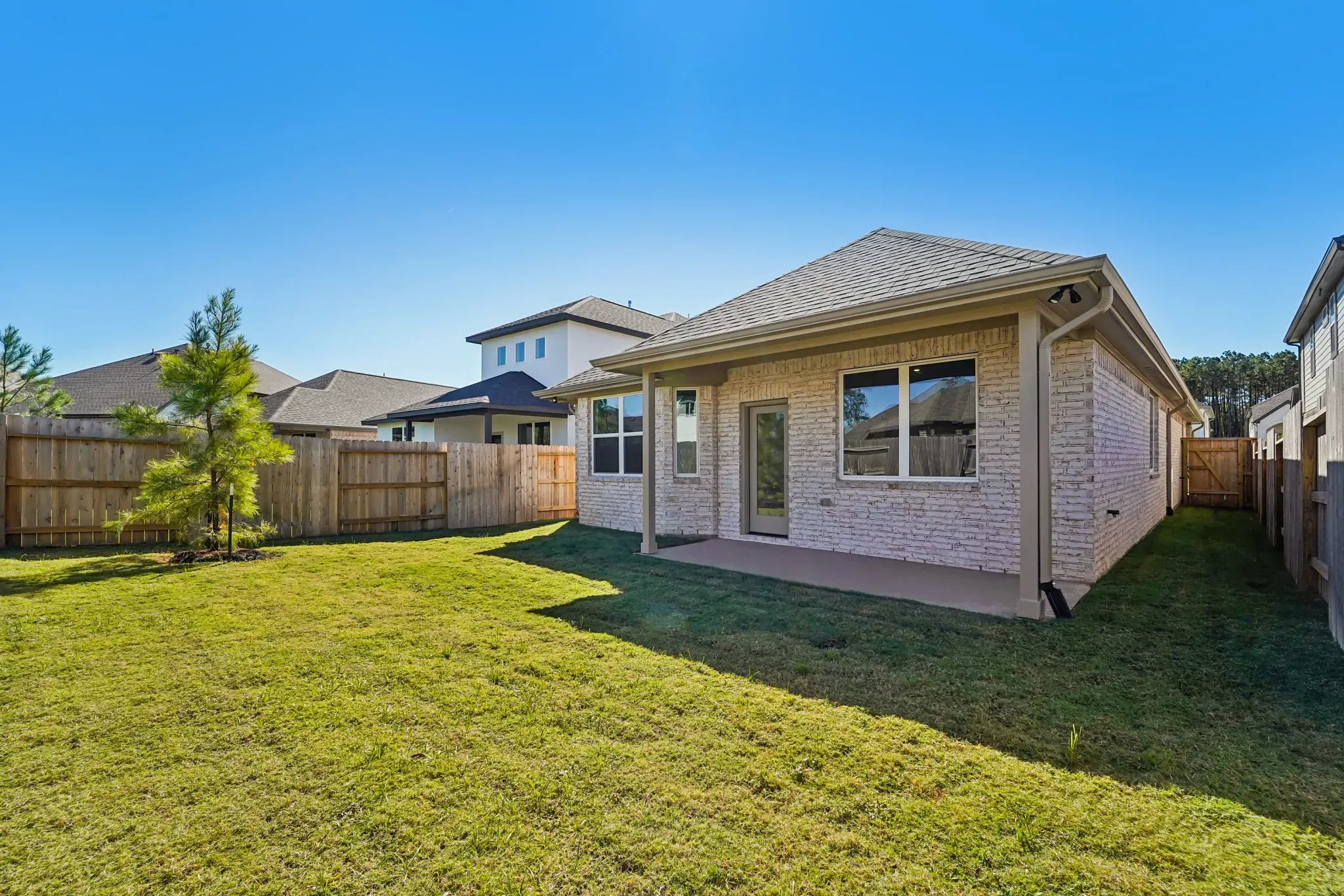 Homesite 2430 backyard