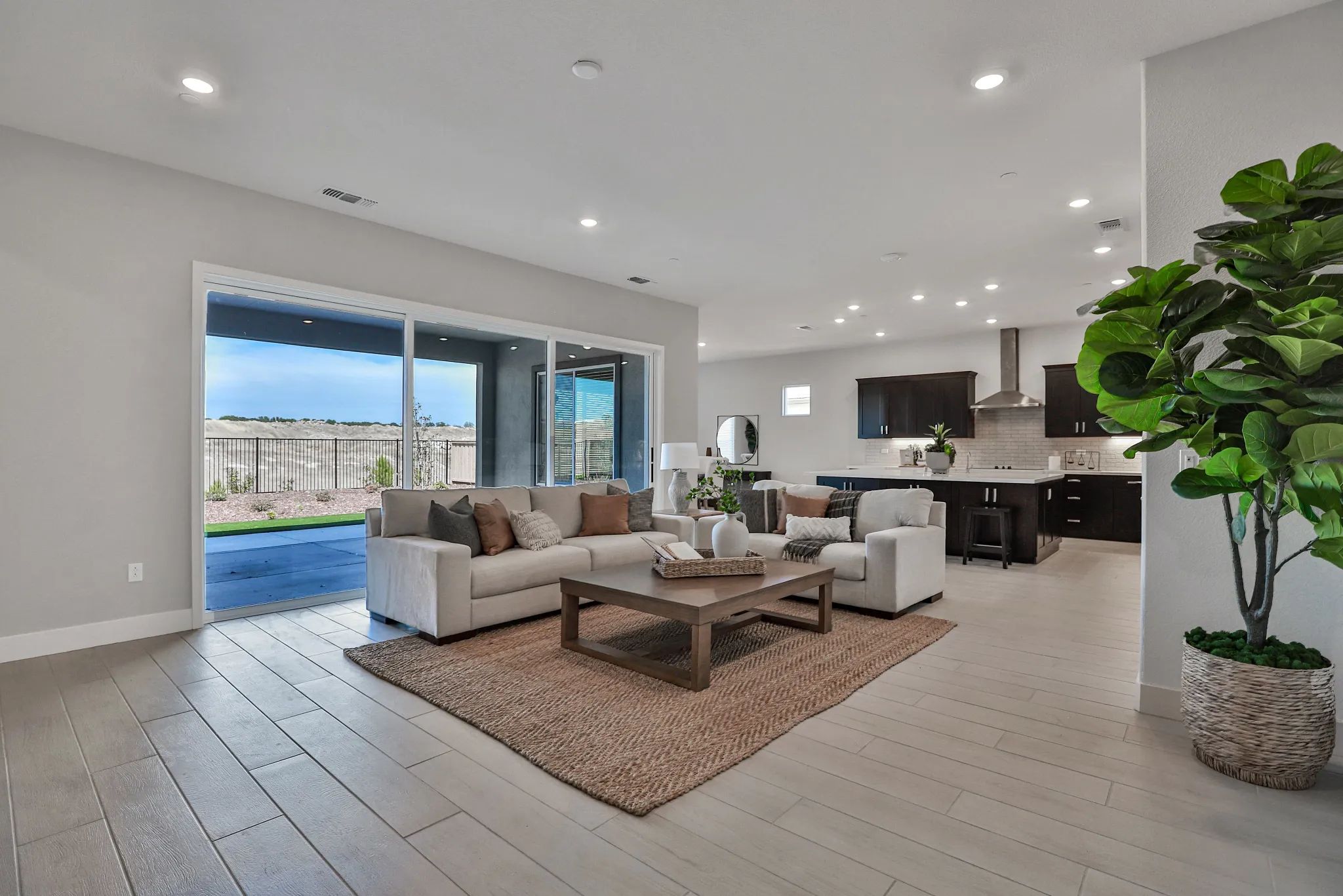 Great Room & Kitchen