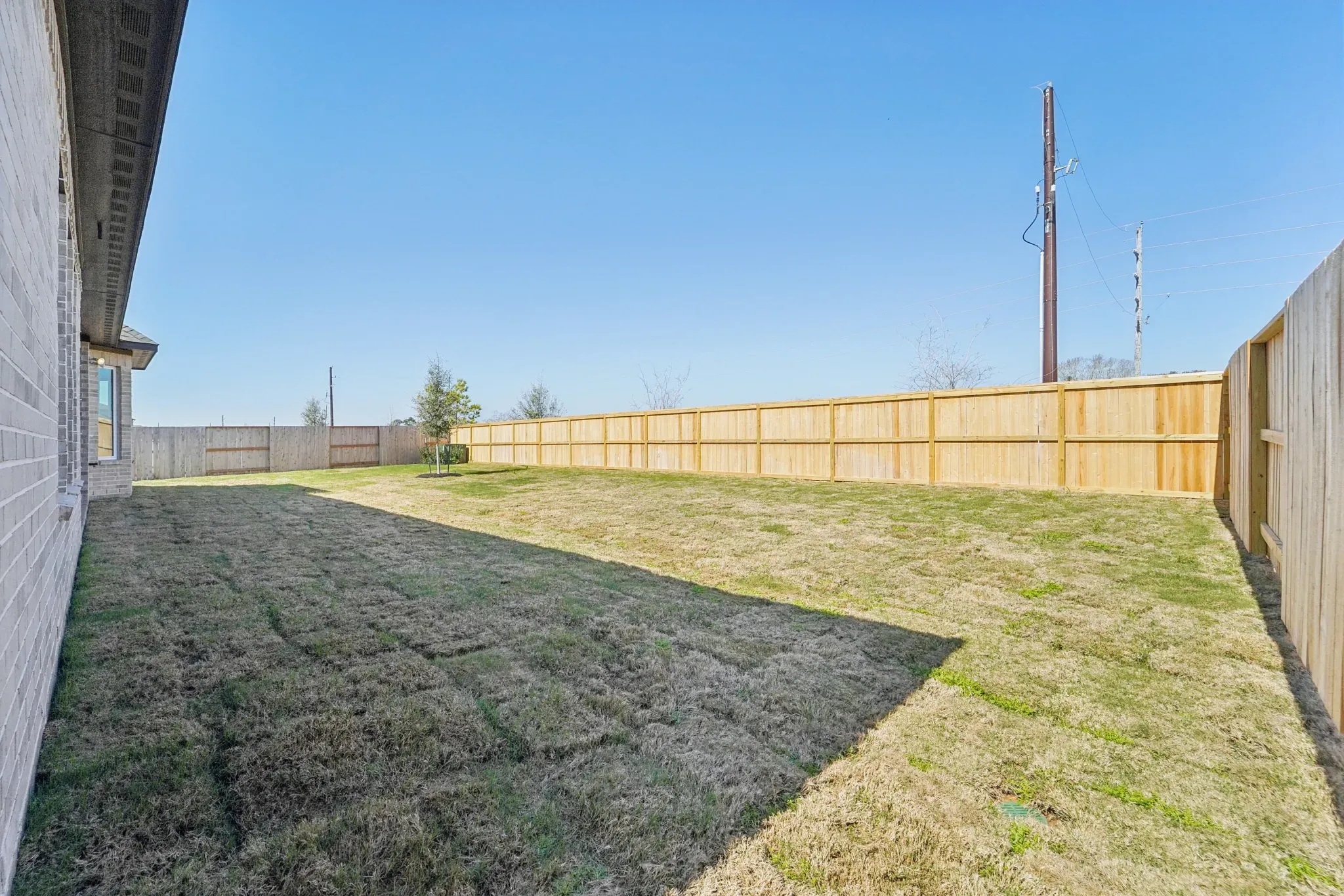 Homesite 6113 Backyard