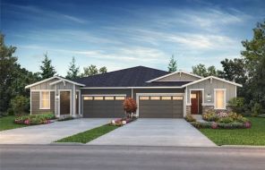 14806 207th Ave E (Reveal)