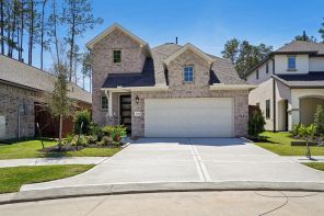 16538 Cub Creek Ct (Plan 3049)
