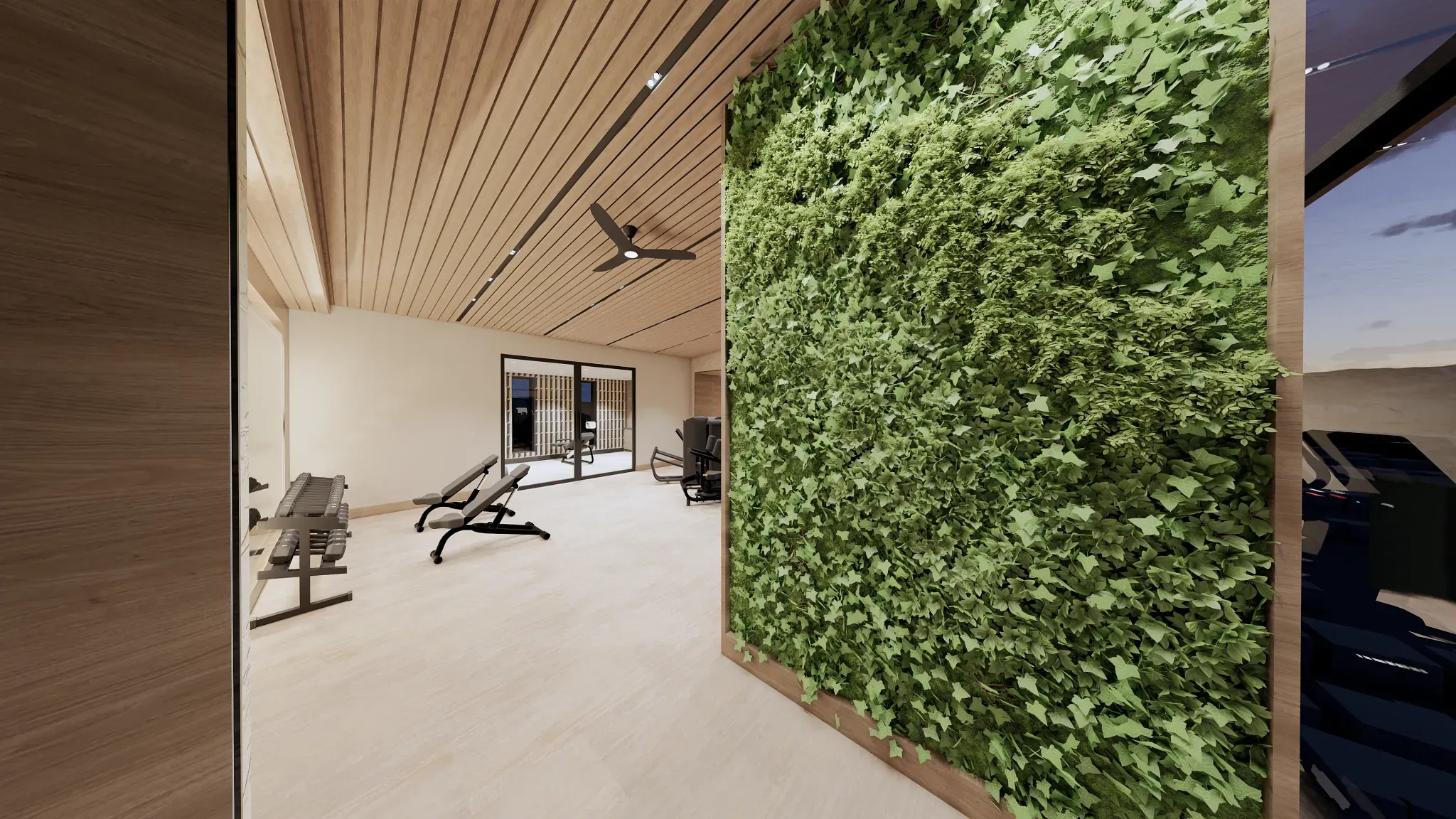 Coming Soon, Verterra's Open Gym Rendering