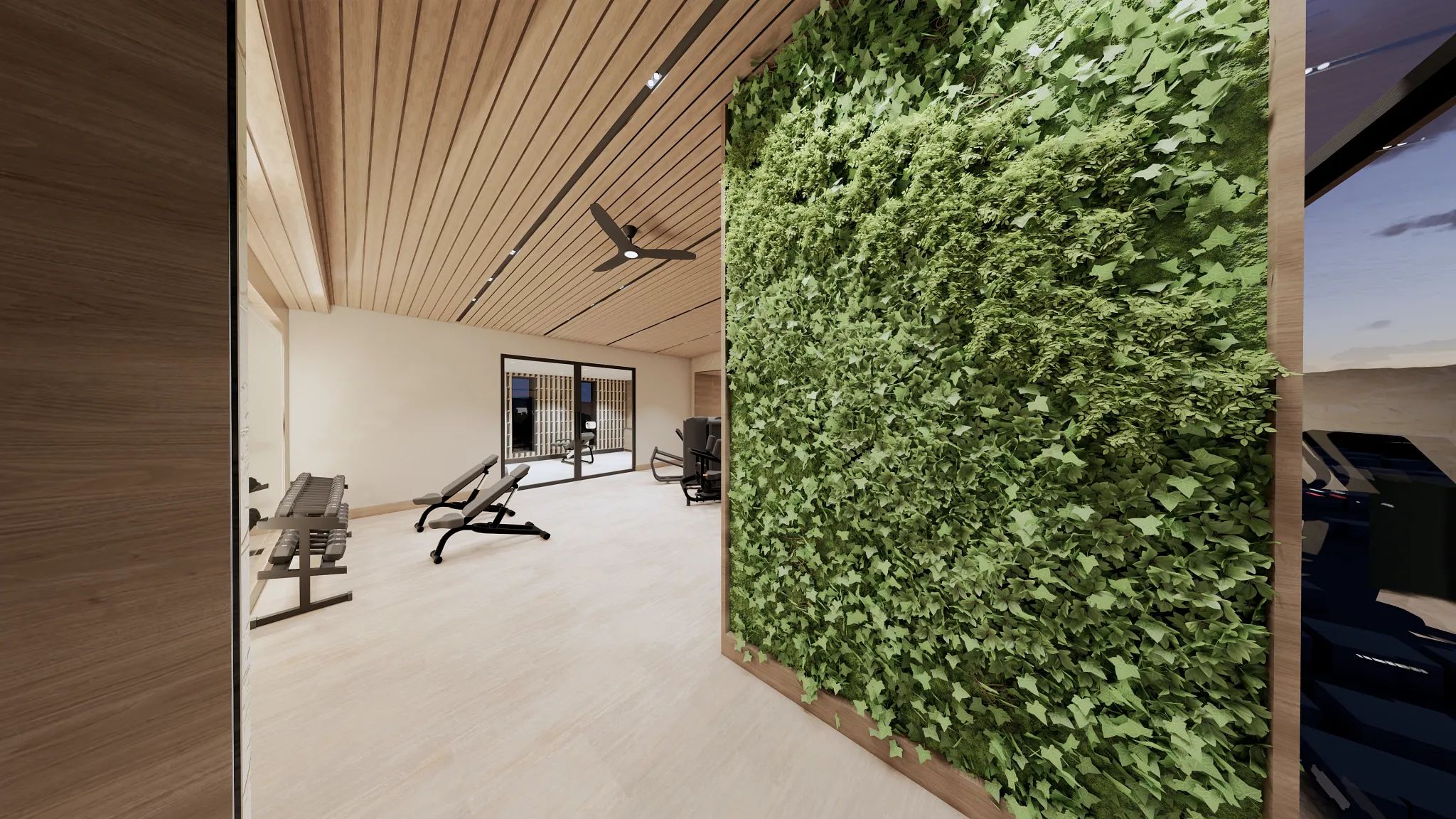 Coming Soon, Verterra's Open Gym Rendering