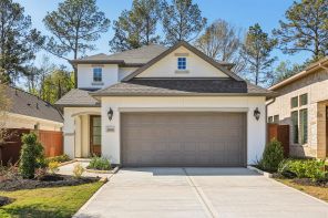 29969 Stony Forest Drive (Plan 3079)