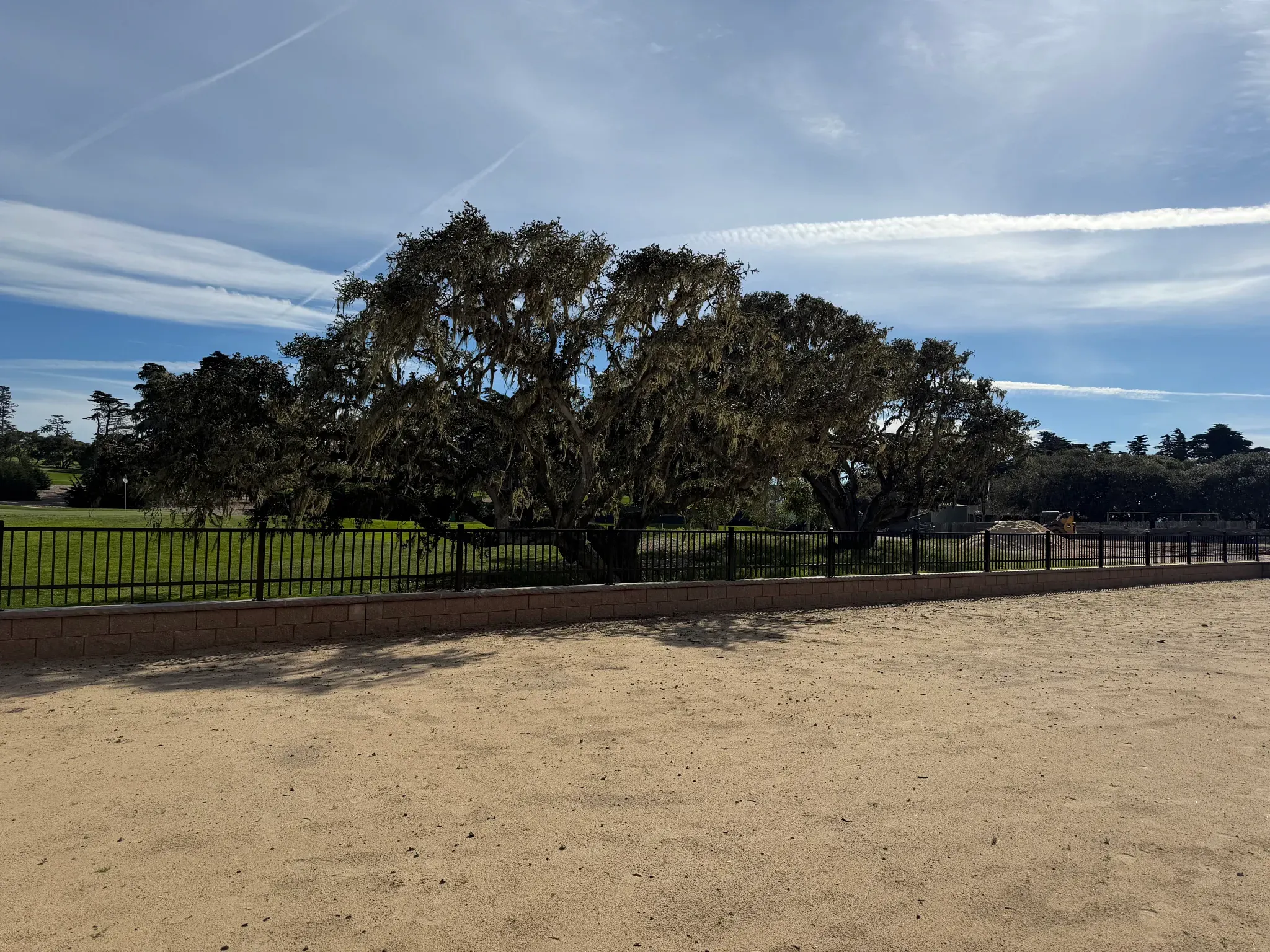 The Enclave Lot 79 Backyard
