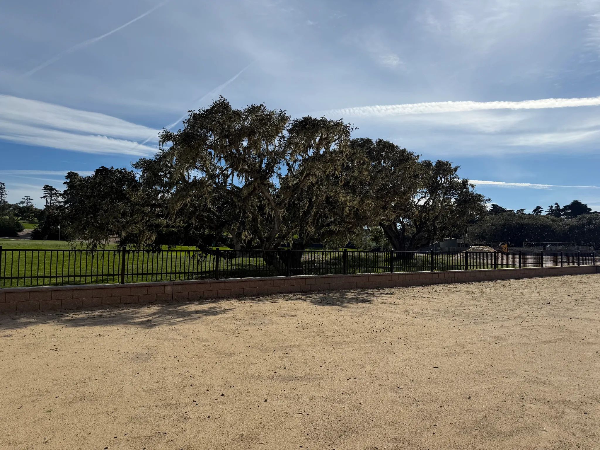 The Enclave Lot 79 Backyard