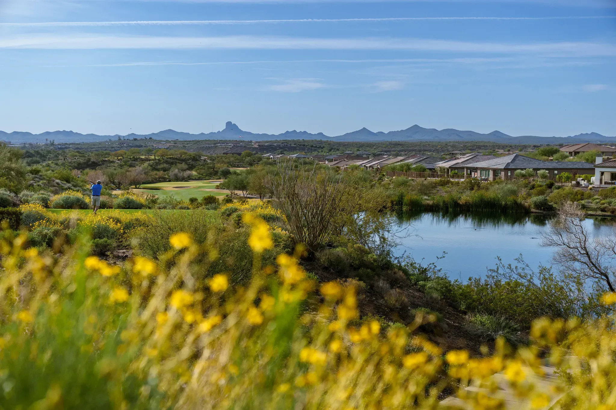 Golf Wickenburg Ranch