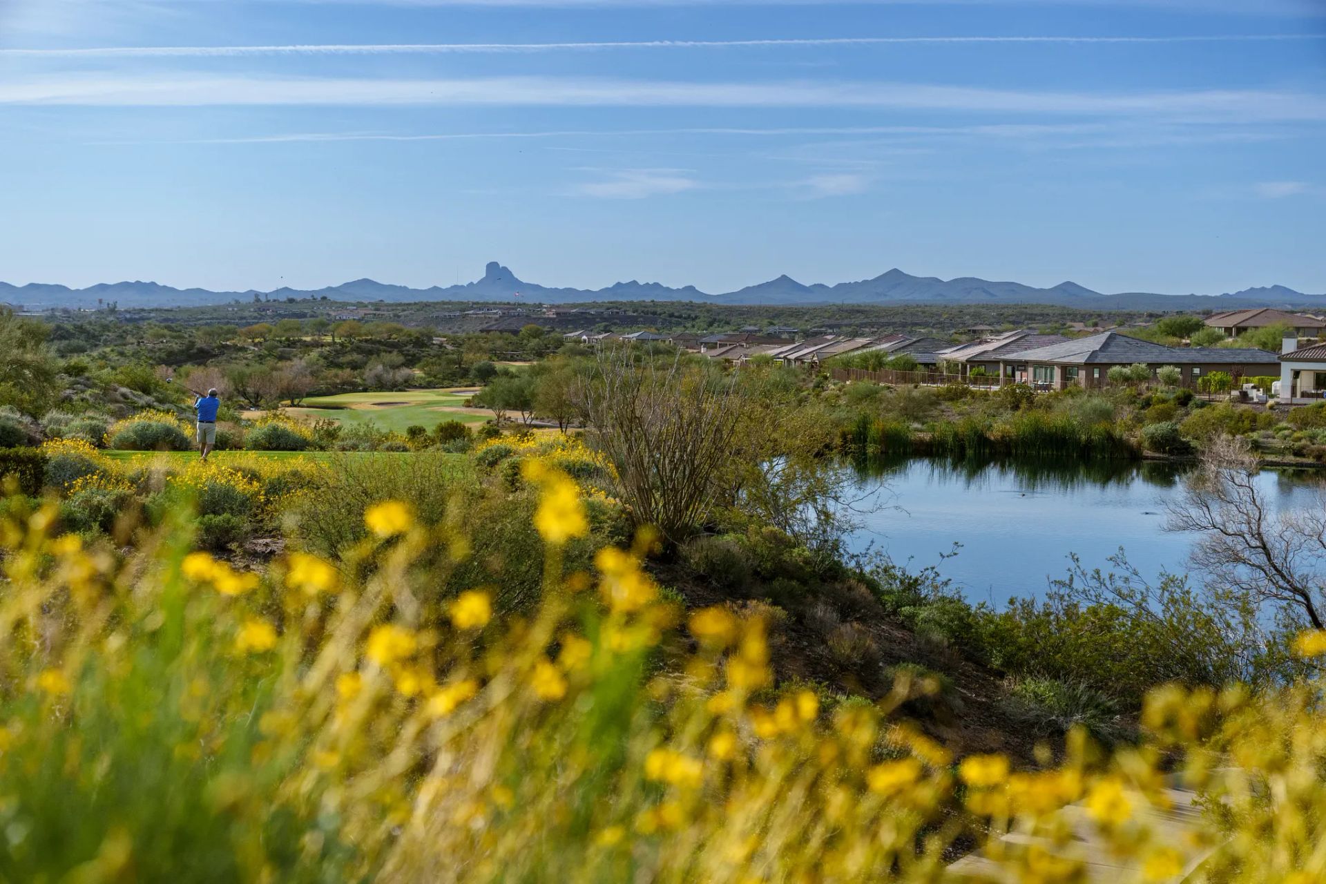 Golf Wickenburg Ranch