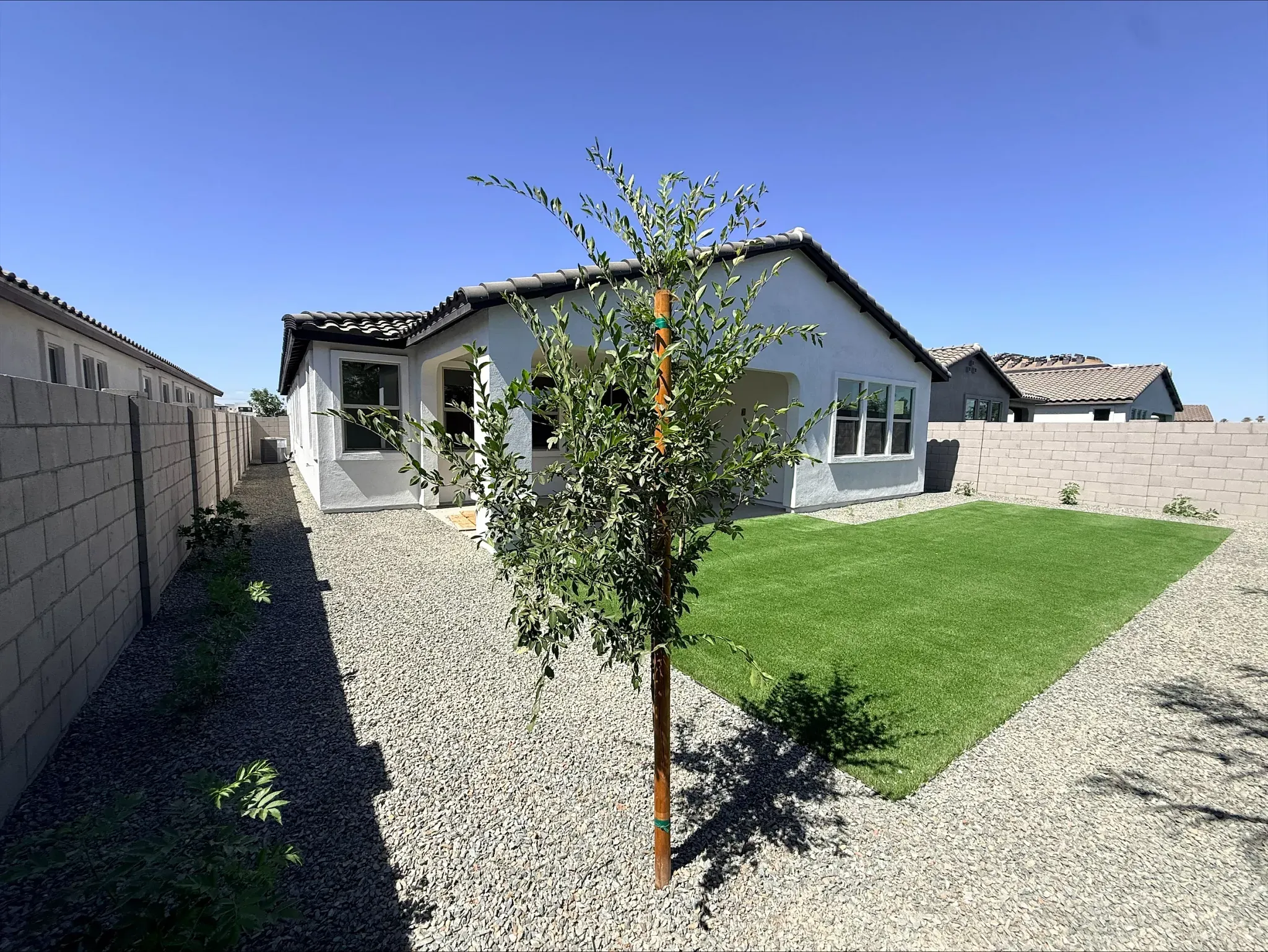 Backyard