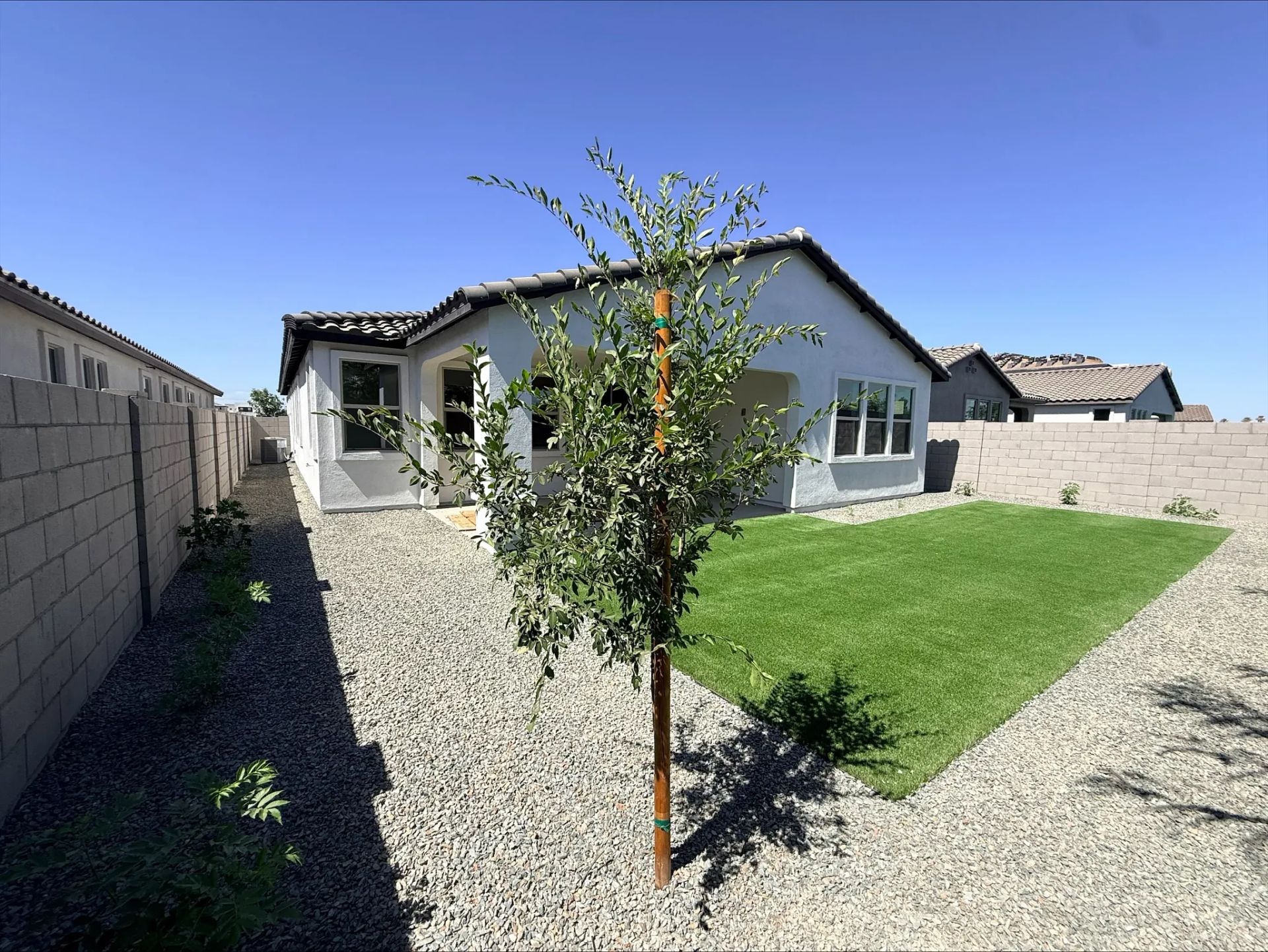 Backyard