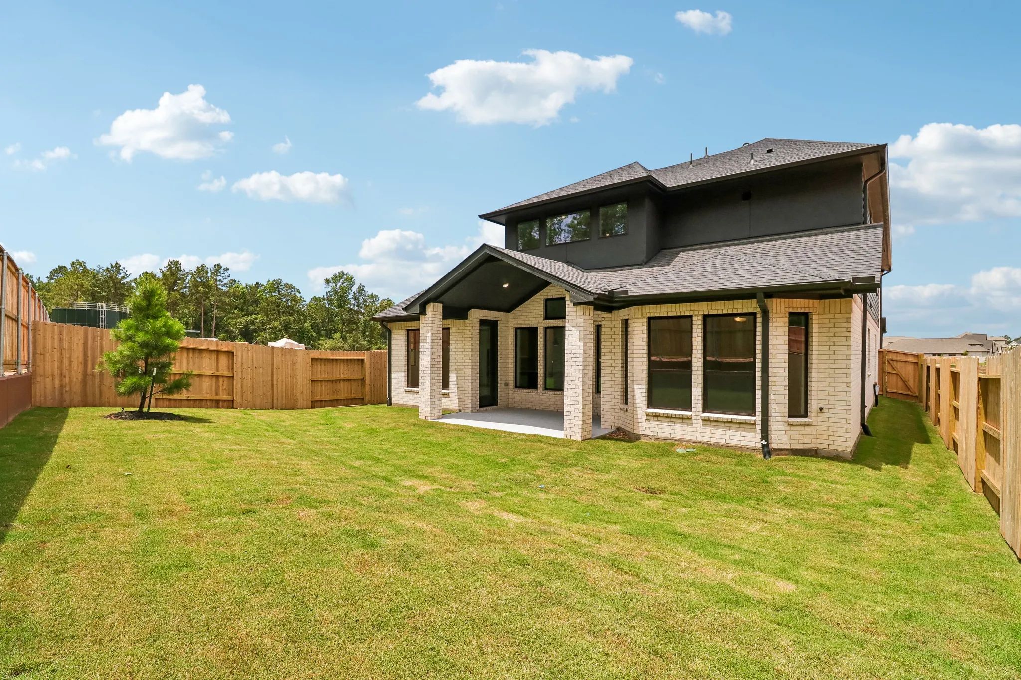 Homesite 0303 Backyard