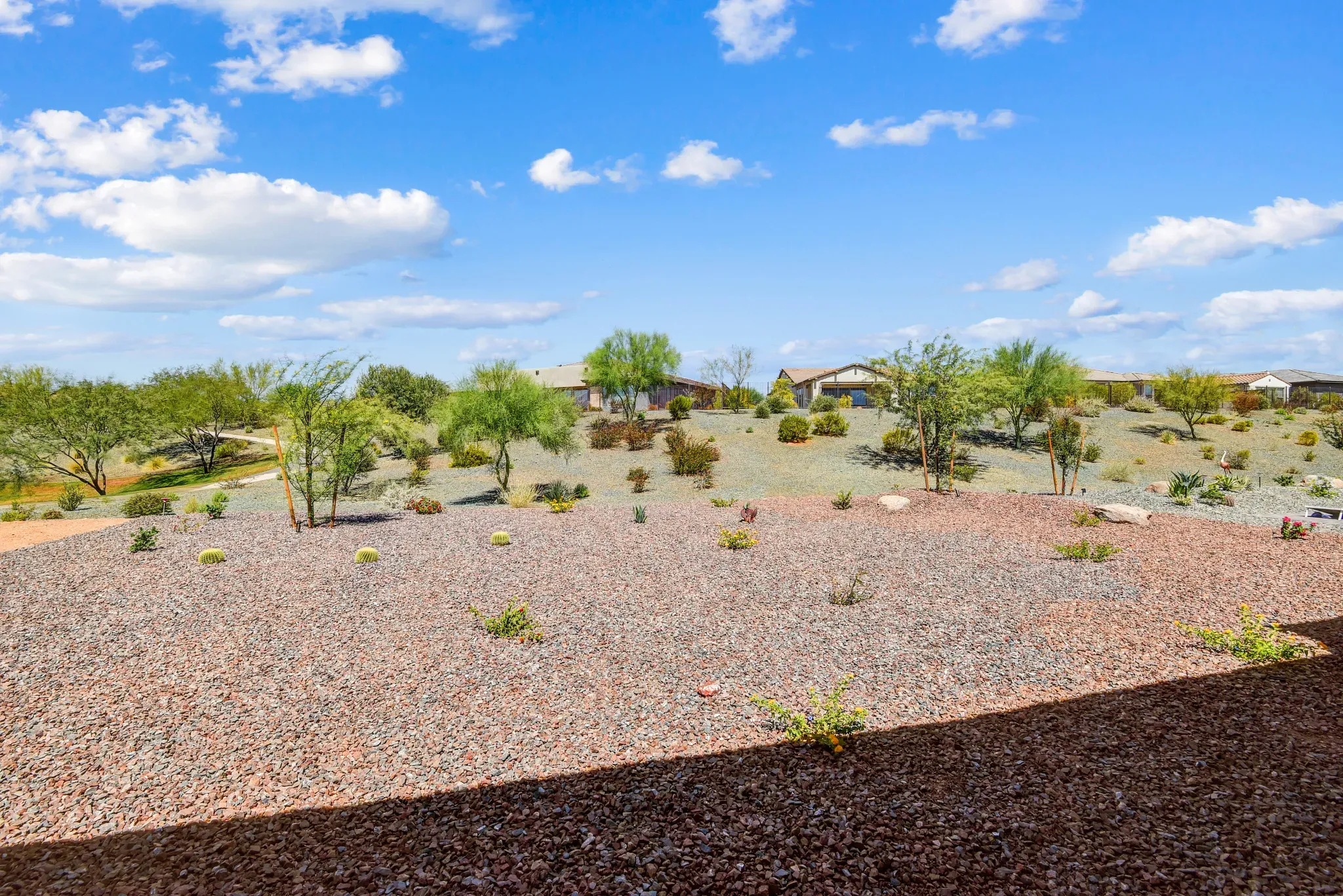 Trilogy Verde River Cordoba HS 1359 Backyard