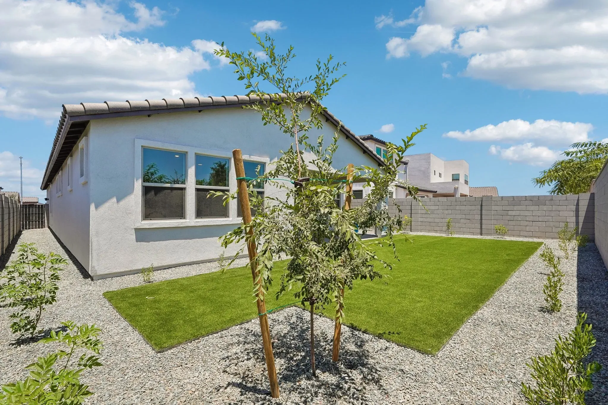 Backyard