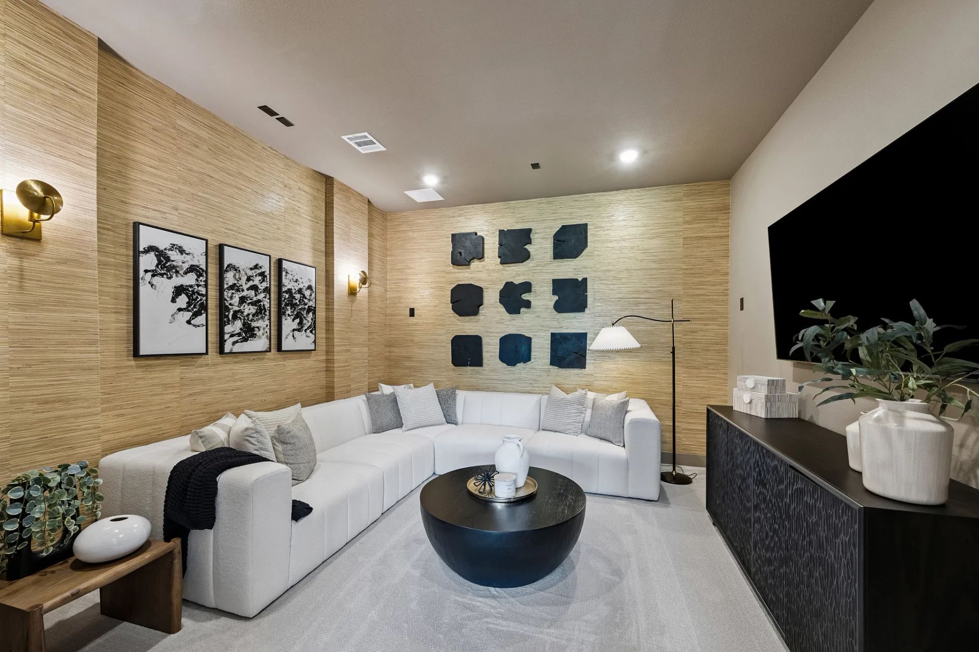 Plan 5058 Model Media Room
