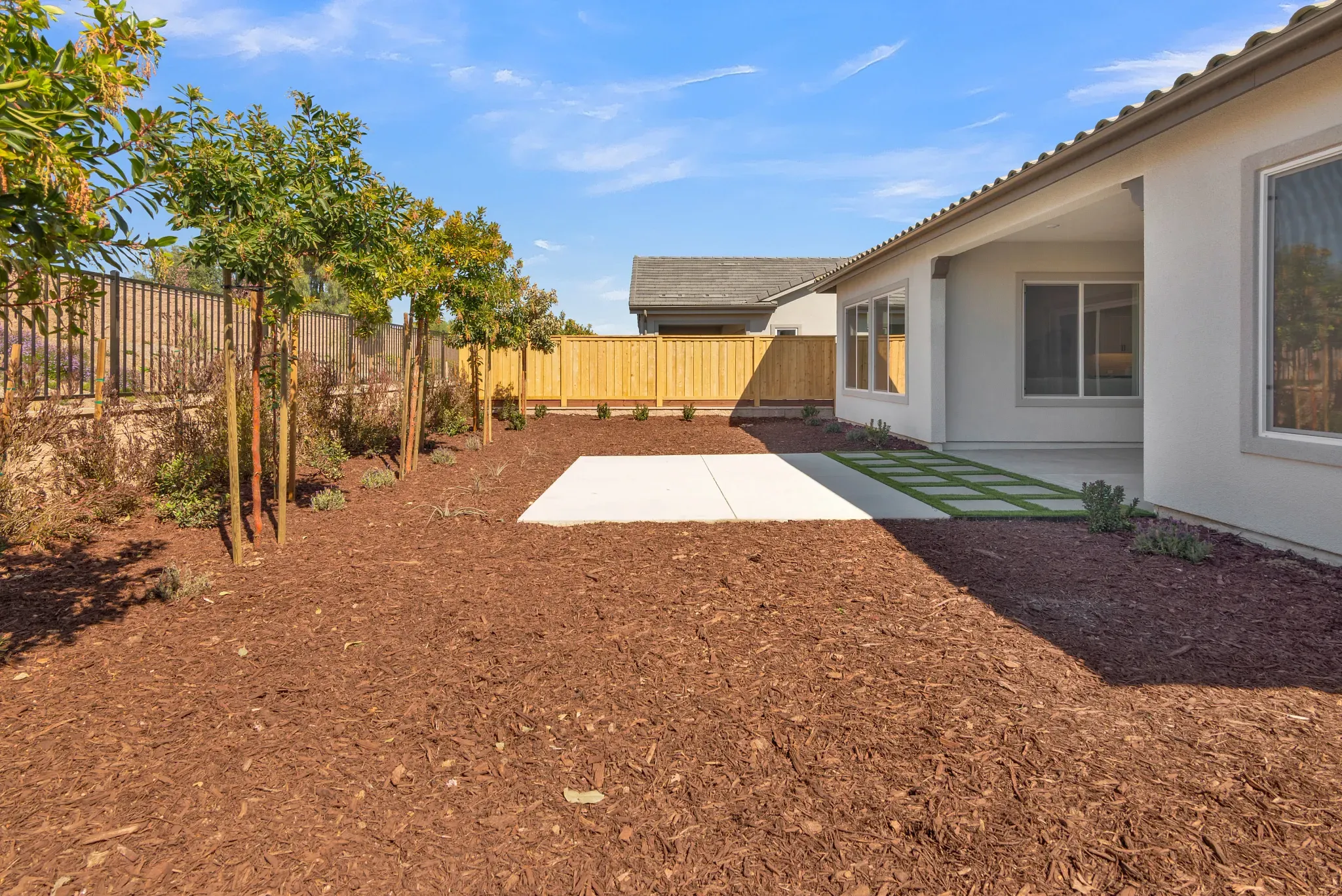 Back Yard