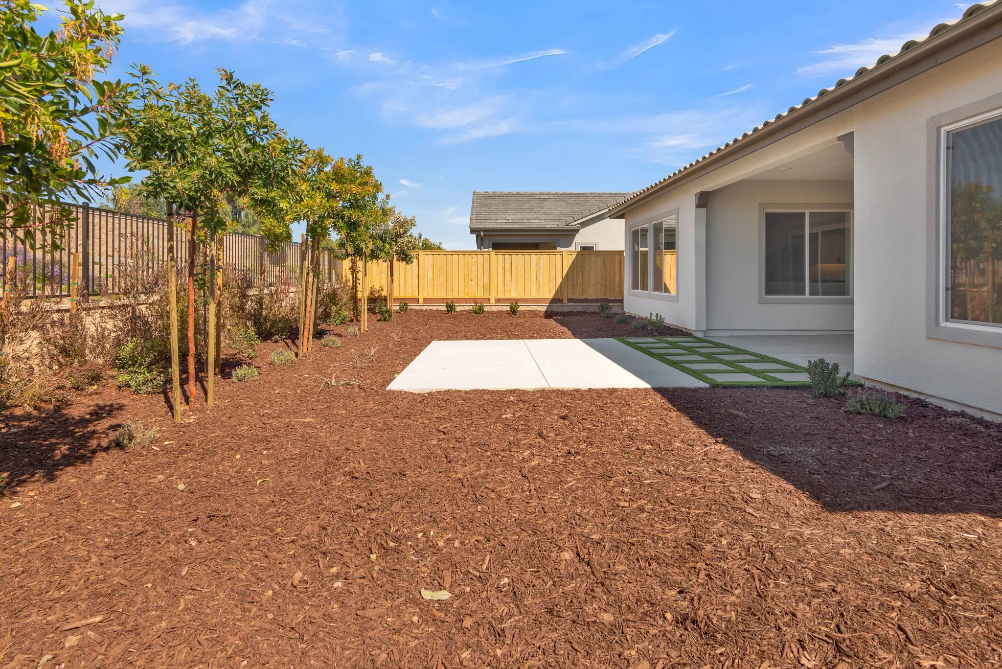Back Yard
