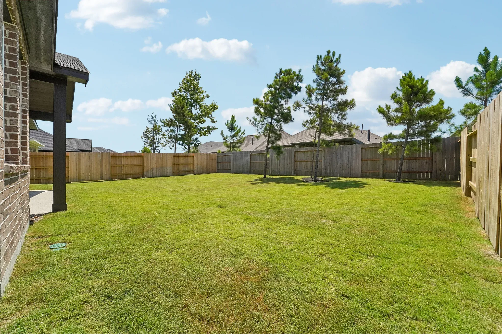 Homesite 5109 Backyard