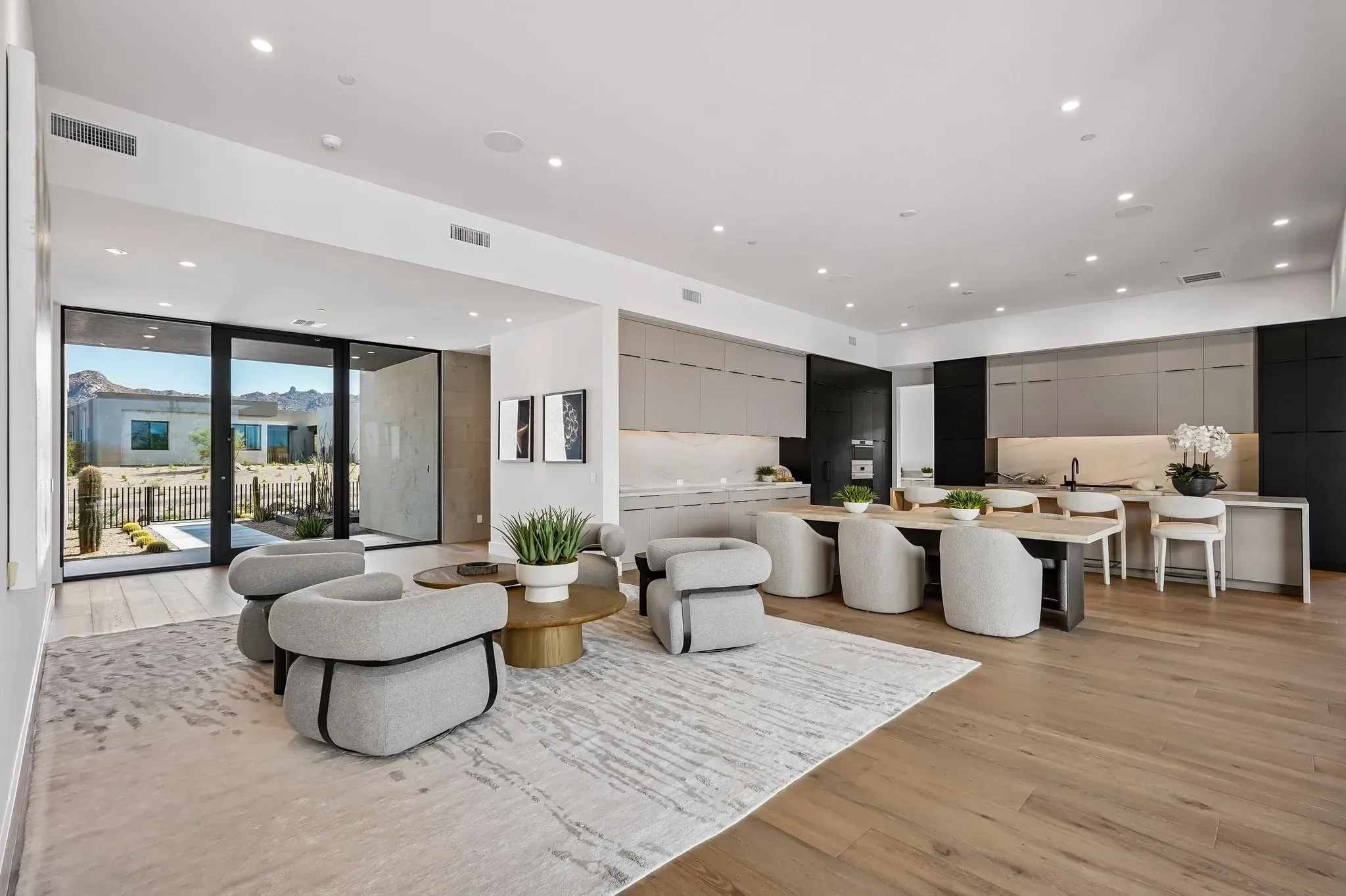 Entry/Dining/Kitchen