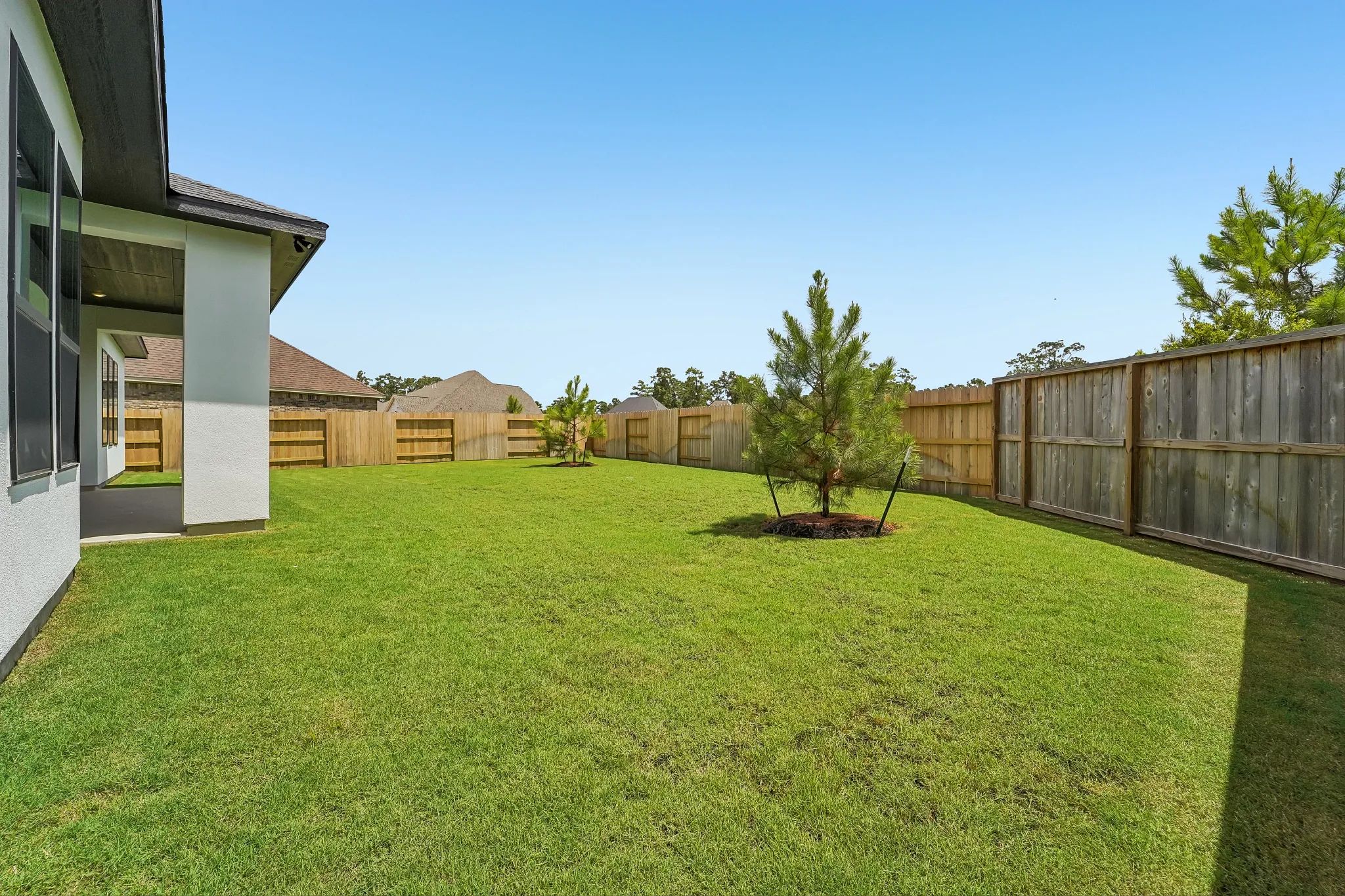 Homesite 7701 Backyard